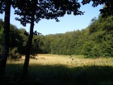 23. Dušina poljana
